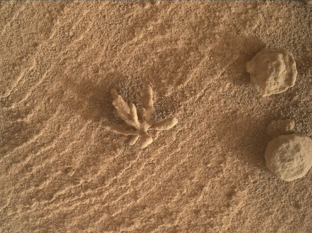 Sol 3396: Mars Hand Lens Imager (MAHLI)
