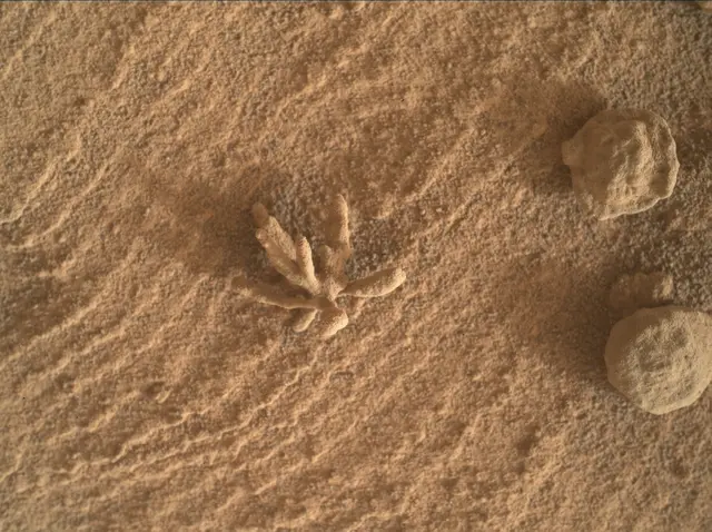 Sol 3396: Mars Hand Lens Imager (MAHLI)