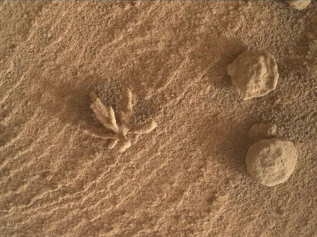 Sol 3396: Mars Hand Lens Imager (MAHLI)