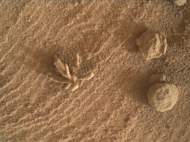 Sol 3396: Mars Hand Lens Imager (MAHLI)