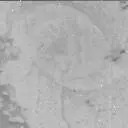 Sol 3397: Mast Camera (Mastcam)