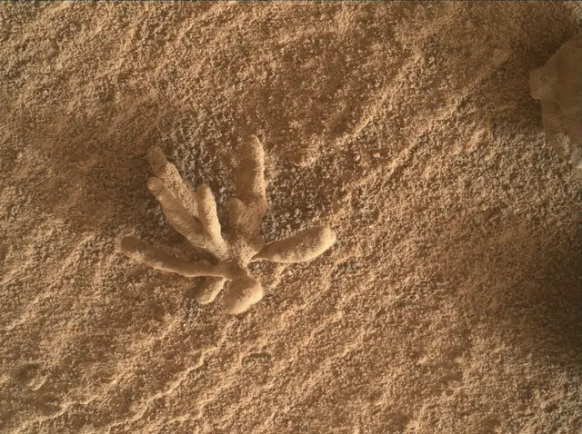 Sol 3397: Mars Hand Lens Imager (MAHLI)