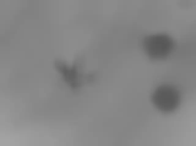 Sol 3397: Mars Hand Lens Imager (MAHLI)