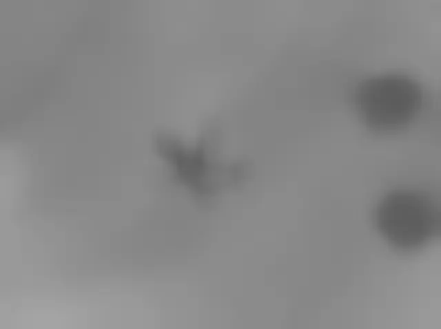 Sol 3397: Mars Hand Lens Imager (MAHLI)