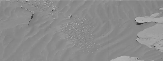 Sol 3405: Mast Camera (Mastcam)