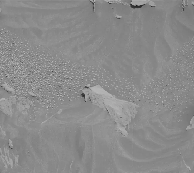 Sol 3409: Mast Camera (Mastcam)