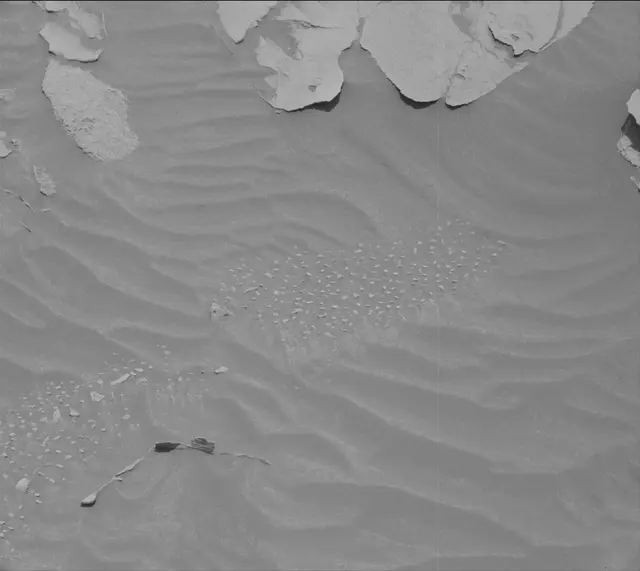 Sol 3409: Mast Camera (Mastcam)