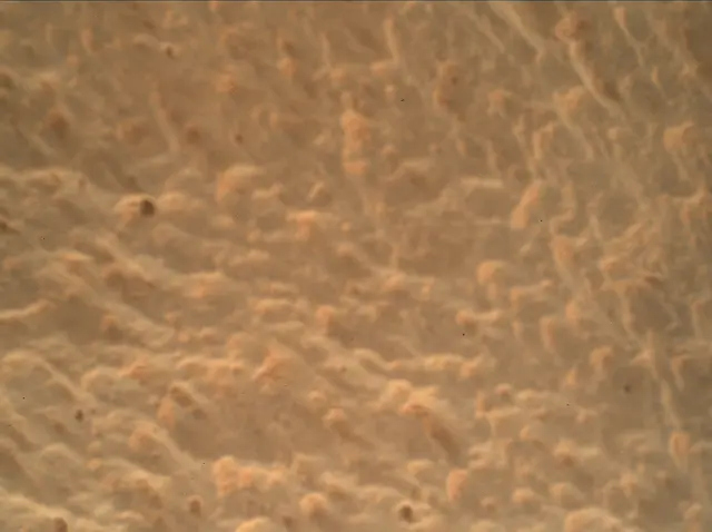 Sol 3417: Mars Hand Lens Imager (MAHLI)