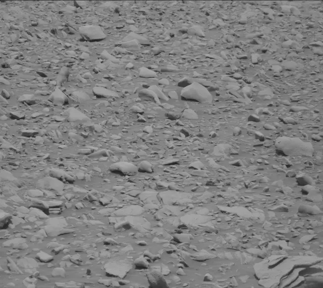 Sol 3419: Mast Camera (Mastcam)