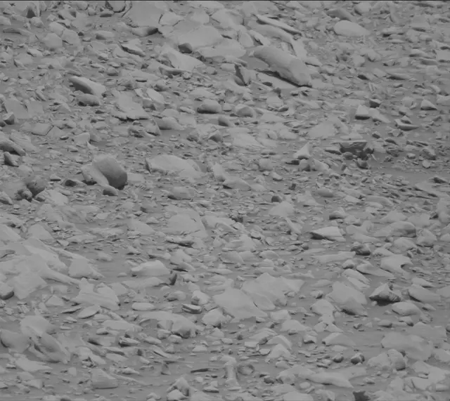 Sol 3419: Mast Camera (Mastcam)