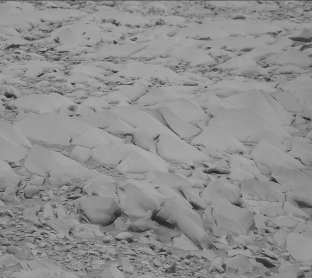 Sol 3419: Mast Camera (Mastcam)