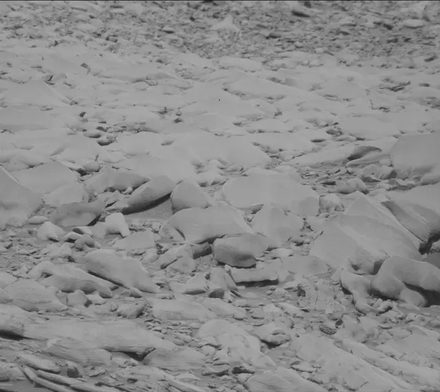 Sol 3419: Mast Camera (Mastcam)