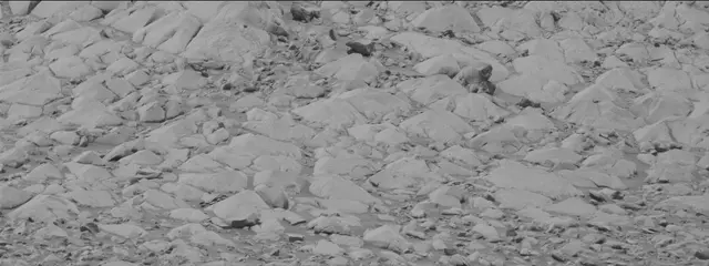 Sol 3422: Mast Camera (Mastcam)