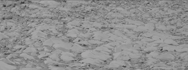 Sol 3422: Mast Camera (Mastcam)