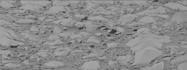 Sol 3422: Mast Camera (Mastcam)