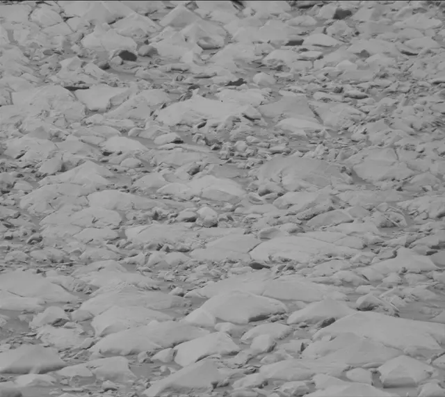 Sol 3422: Mast Camera (Mastcam)