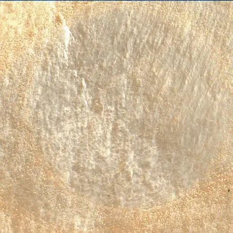 Sol 3422: Mars Hand Lens Imager (MAHLI)