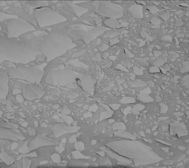 Sol 3423: Mast Camera (Mastcam)