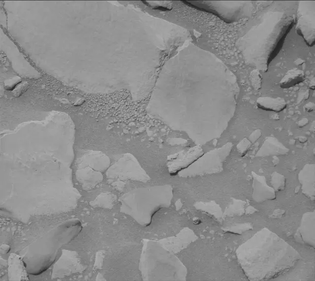 Sol 3423: Mast Camera (Mastcam)