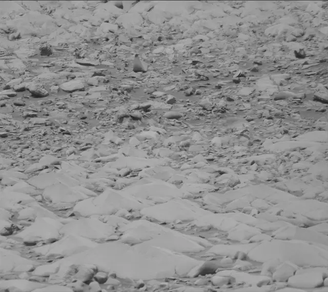 Sol 3424: Mast Camera (Mastcam)