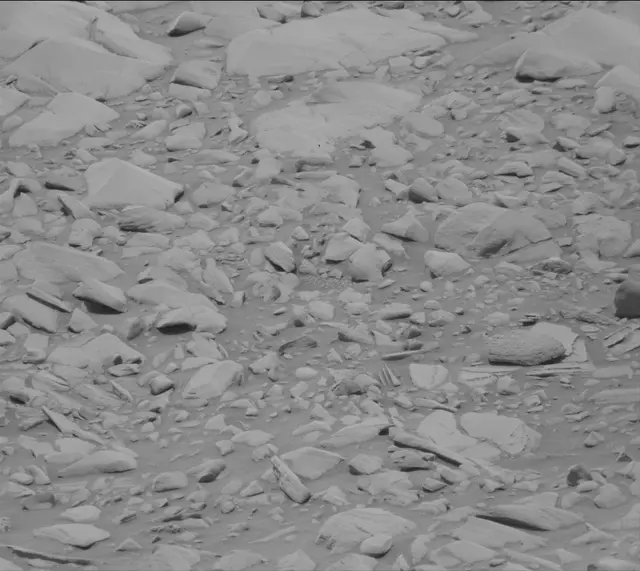 Sol 3424: Mast Camera (Mastcam)