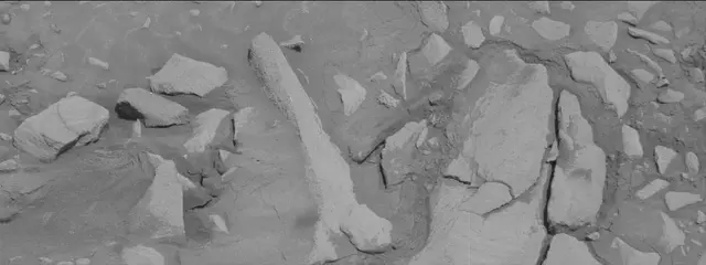 Sol 3435: Mast Camera (Mastcam)