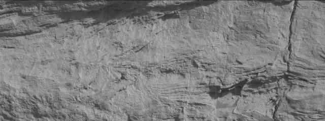 Sol 3442: Mast Camera (Mastcam)