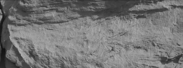 Sol 3442: Mast Camera (Mastcam)