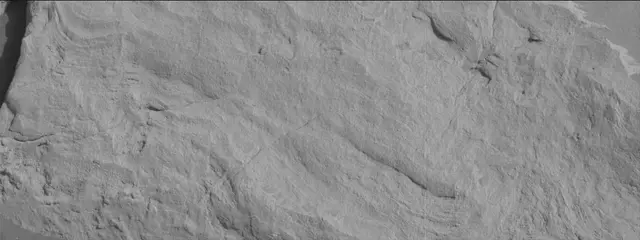 Sol 3442: Mast Camera (Mastcam)