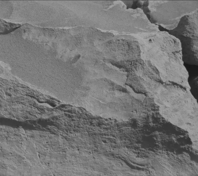 Sol 3442: Mast Camera (Mastcam)