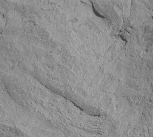 Sol 3442: Mast Camera (Mastcam)
