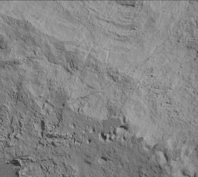 Sol 3442: Mast Camera (Mastcam)