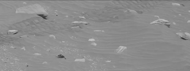 Sol 3444: Mast Camera (Mastcam)