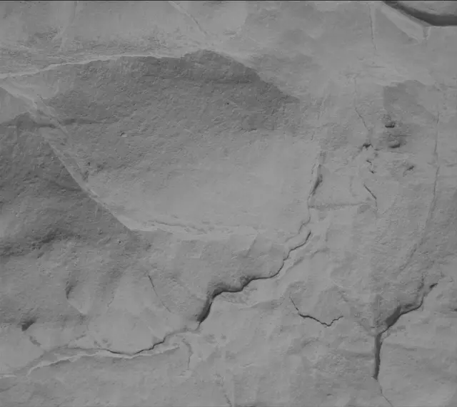 Sol 3444: Mast Camera (Mastcam)