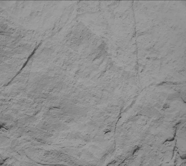 Sol 3444: Mast Camera (Mastcam)