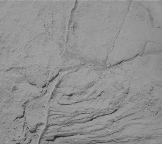 Sol 3444: Mast Camera (Mastcam)