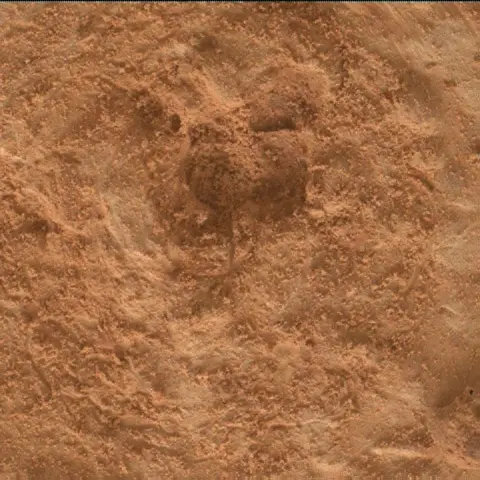 Sol 3471: Mars Hand Lens Imager (MAHLI)
