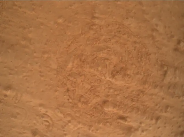 Sol 3483: Mars Hand Lens Imager (MAHLI)