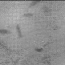 Sol 3504: Mast Camera (Mastcam)