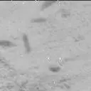 Sol 3504: Mast Camera (Mastcam)
