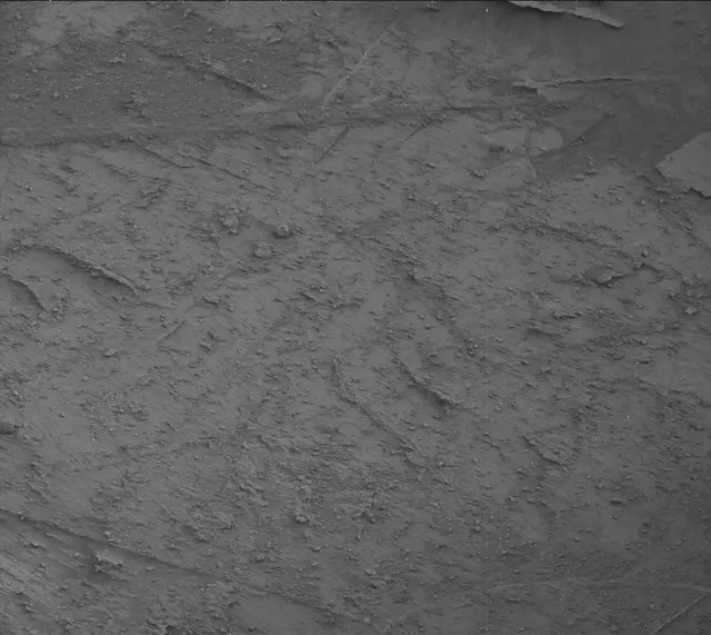 Sol 3517: Mast Camera (Mastcam)