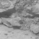Sol 3527: Mast Camera (Mastcam)
