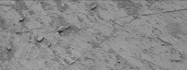 Sol 3529: Mast Camera (Mastcam)