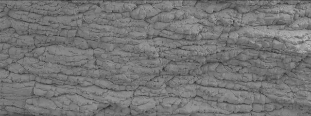 Sol 3536: Mast Camera (Mastcam)