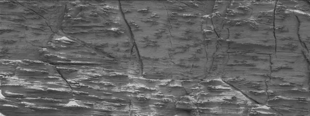 Sol 3553: Mast Camera (Mastcam)