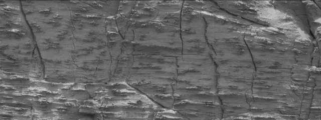 Sol 3553: Mast Camera (Mastcam)