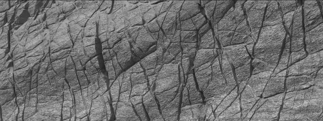 Sol 3563: Mast Camera (Mastcam)