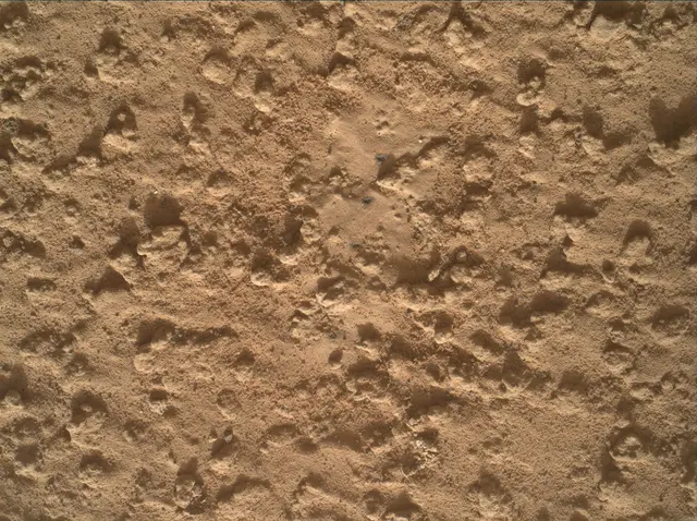 Sol 3575: Mars Hand Lens Imager (MAHLI)
