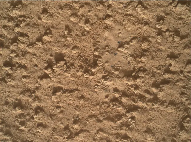 Sol 3575: Mars Hand Lens Imager (MAHLI)