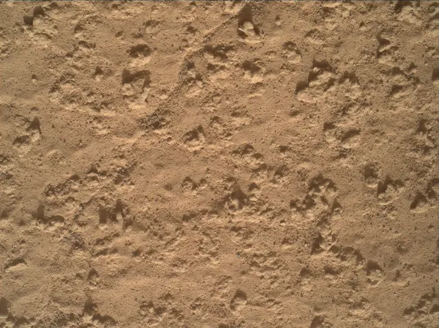 Sol 3575: Mars Hand Lens Imager (MAHLI)